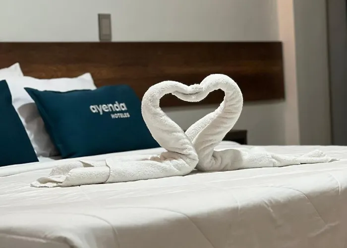 Andina Pardo Casa Boutique
