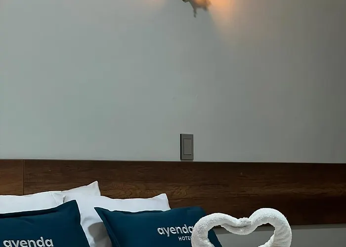 Andina Pardo Casa Boutique Hotel *